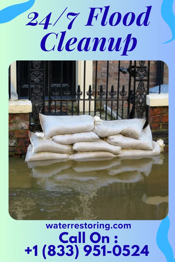 24/7 Flood Cleanup in Strathcona, MN