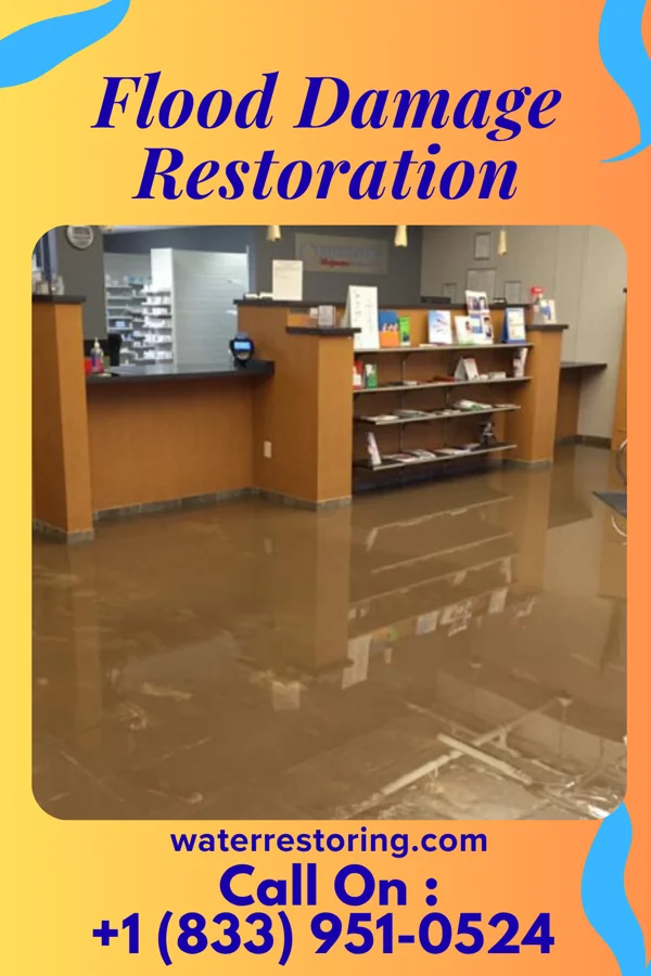 Flood Damage Restoration in Strathcona, MN