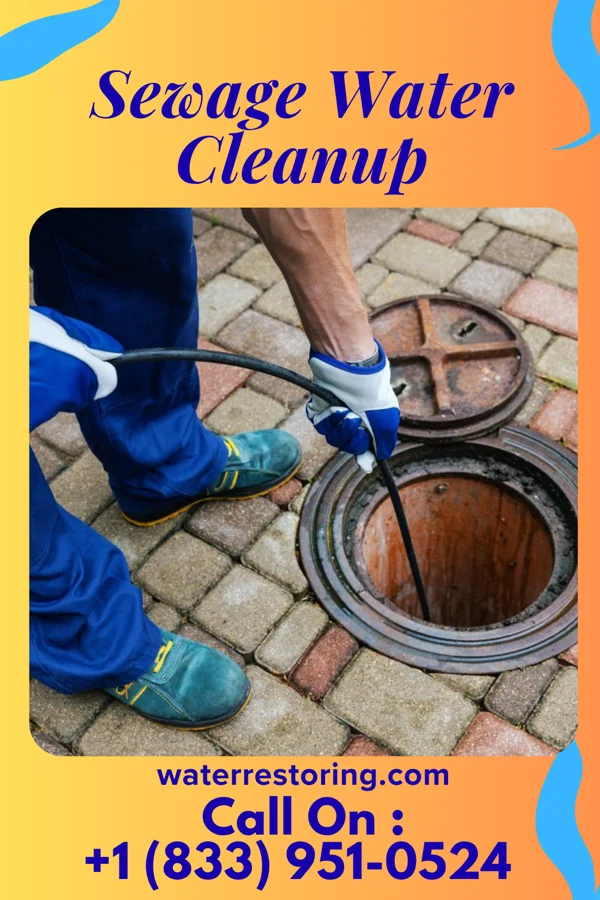 Sewage Water Cleanup in Strathcona, MN